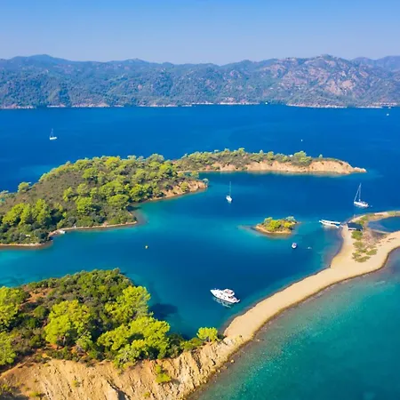Zonkdemir *